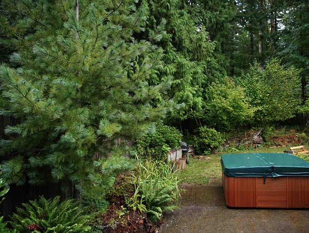 Photo 59 for Mt Rainier & White Pass Family Getaway & Hot Tub