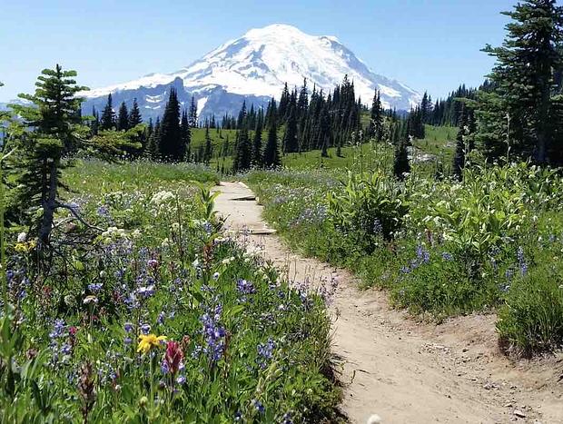 Photo 66 for Mt Rainier & White Pass Family Getaway & Hot Tub