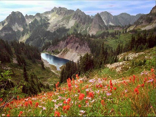 Photo 67 for Mt Rainier & White Pass Family Getaway & Hot Tub