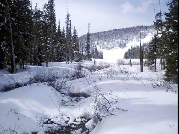 Photo 72 for Mt Rainier & White Pass Family Getaway & Hot Tub