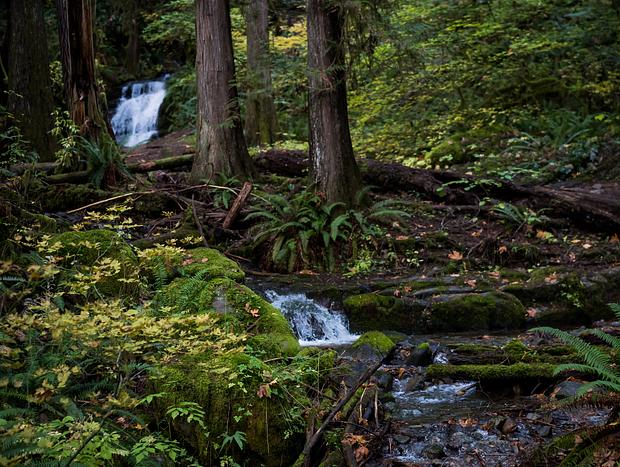 Photo 91 for Mt Rainier & White Pass Family Getaway & Hot Tub