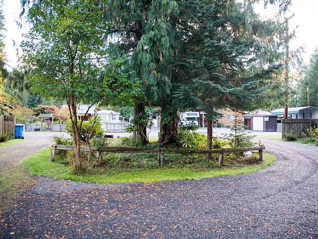 Photo 102 for Mt Rainier & White Pass Family Getaway & Hot Tub