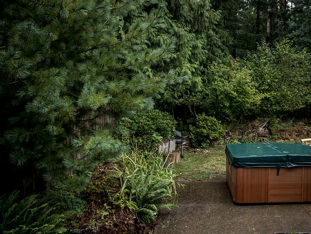 Photo 119 for Mt Rainier & White Pass Family Getaway & Hot Tub