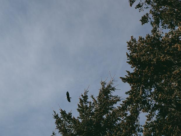 Photo 8 for undefined