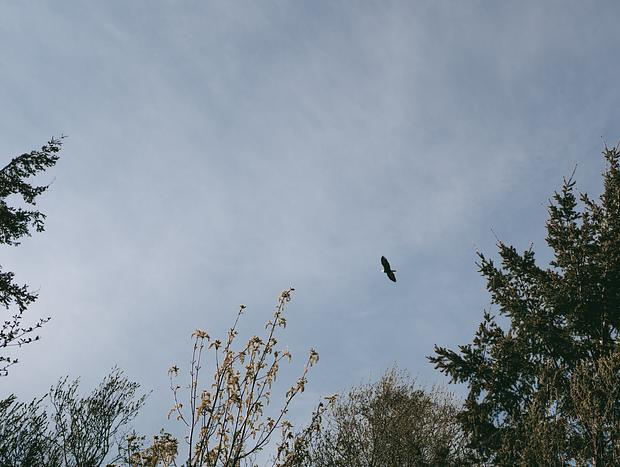 Photo 9 for undefined