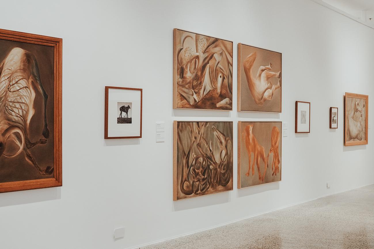 Visit the Bathurst Regional Art Gallery Riparide