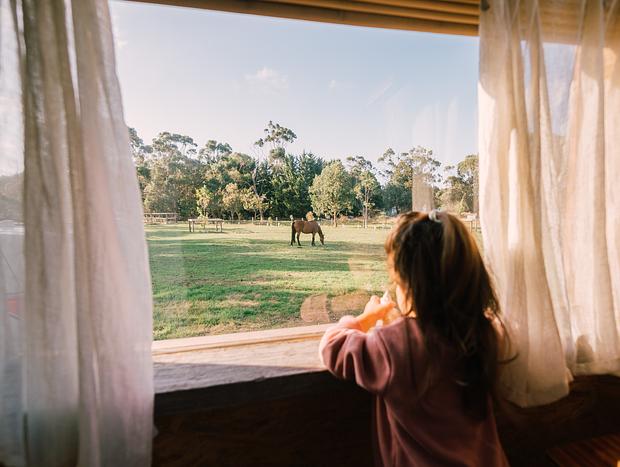 Photo 8 for Perfect Sea & Horse Escape