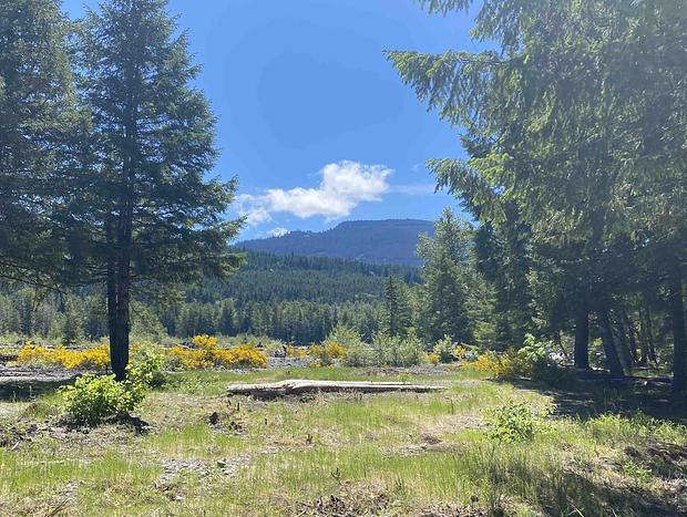 Photo 102 for Beautiful Cozy Riverfront A-Frame Cabin & Hot tub