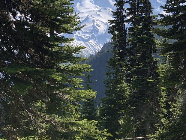 Photo 52 for Rainier Retreat Close To White Pass
