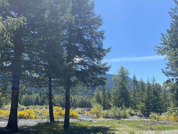 Photo 65 for Rainier Retreat Close To White Pass