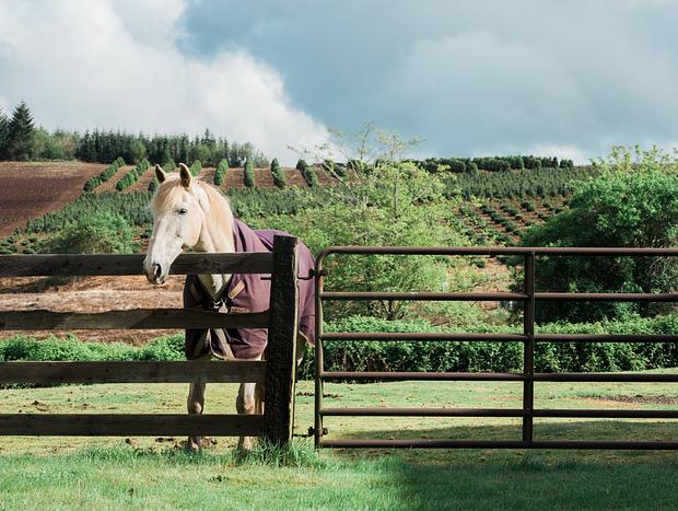 Photo 28 for Escape to the Country on a Gorgeous Farm Retreat