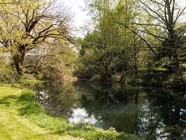 Photo 40 for Escape to the Country on a Gorgeous Farm Retreat