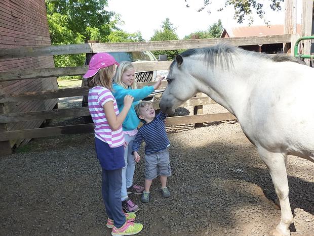 Photo 39 for Escape to the Country on a Gorgeous Farm Retreat