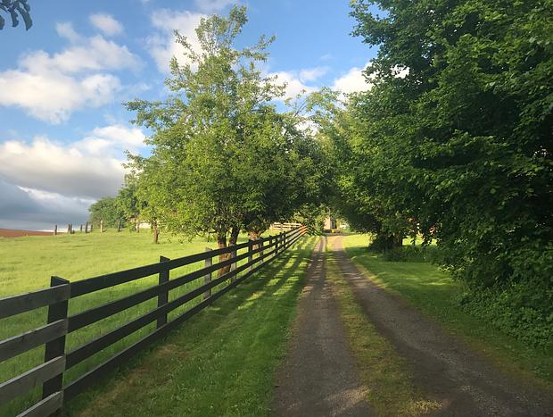 Photo 41 for Escape to the Country on a Gorgeous Farm Retreat