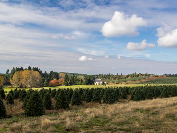 Photo 43 for Escape to the Country on a Gorgeous Farm Retreat