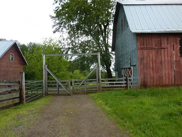 Photo 35 for Escape to the Country on a Gorgeous Farm Retreat