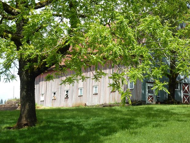 Photo 36 for Escape to the Country on a Gorgeous Farm Retreat