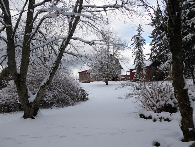 Photo 50 for Escape to the Country on a Gorgeous Farm Retreat