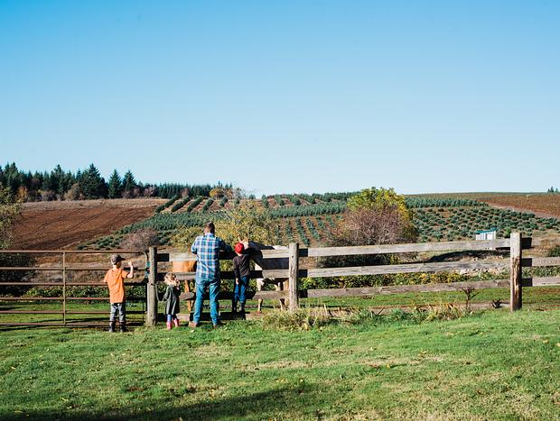 Photo 38 for Escape to the Country on a Gorgeous Farm Retreat