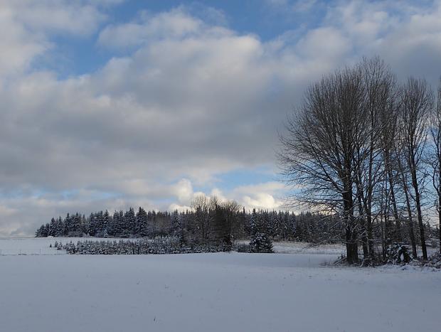 Photo 54 for Escape to the Country on a Gorgeous Farm Retreat