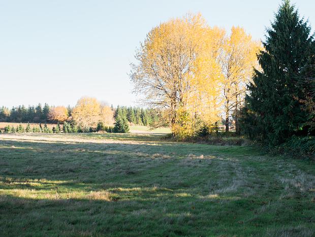 Photo 57 for Escape to the Country on a Gorgeous Farm Retreat