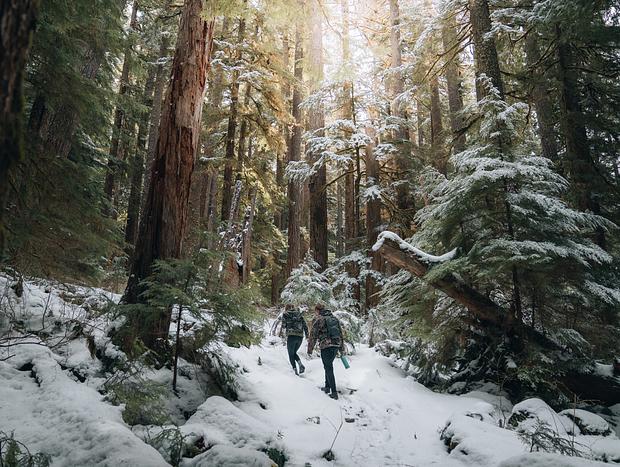 Photo 1 for Sol Duc Falls
