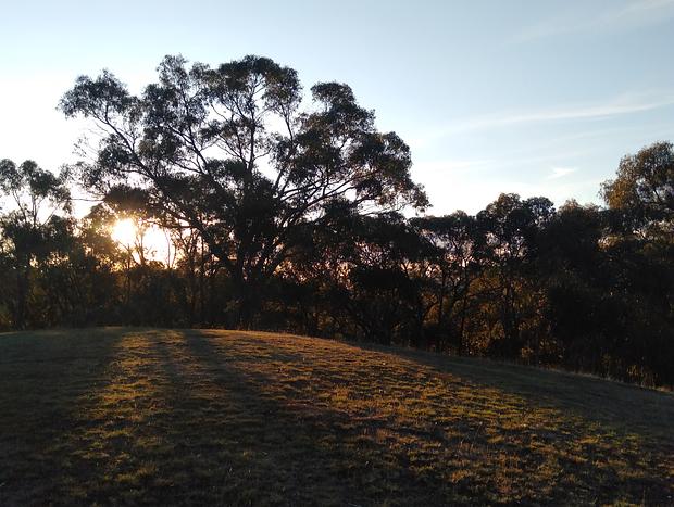 Photo 16 for Cool Cozy Coach Retreat In Secluded Bush Hideaway