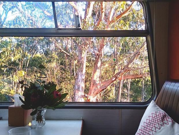 Photo 11 for Cool Cozy Coach Retreat In Secluded Bush Hideaway