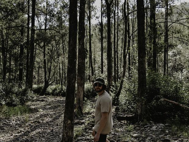 Photo 1 for The Local Bushwalks