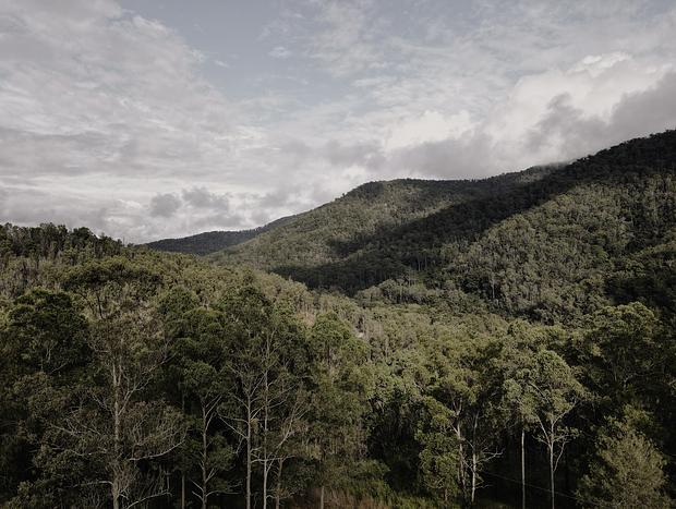 Photo 2 for The Local Bushwalks