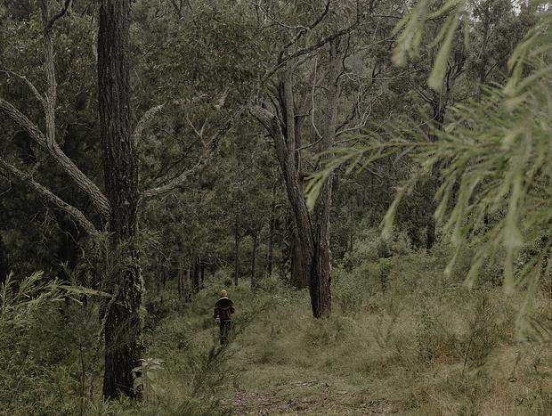 Photo 3 for The Local Bushwalks