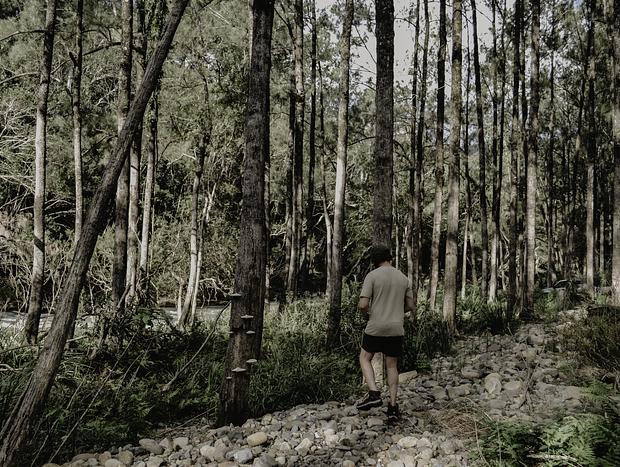 Photo 4 for The Local Bushwalks