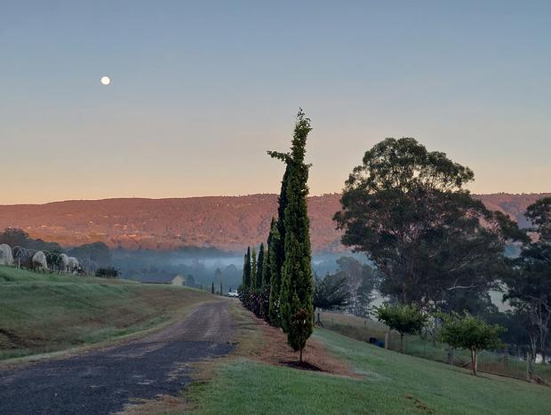 Photo 27 for Highfields Country Farm Stay Kurrajong
