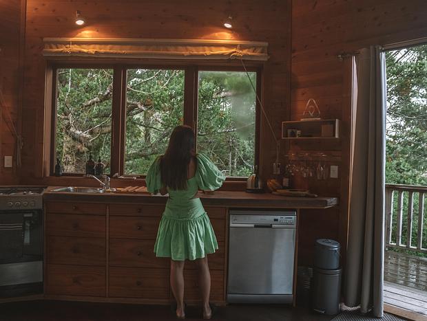 Photo 7 for Waiheke Hidden Gem Tree House