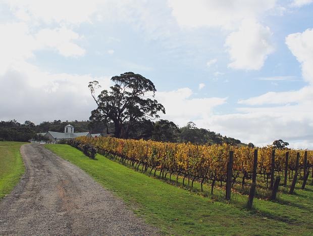 Photo 5 for Wine Tasting at Hanging Rock
