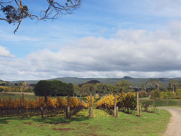 Photo 2 for Wine Tasting at Hanging Rock