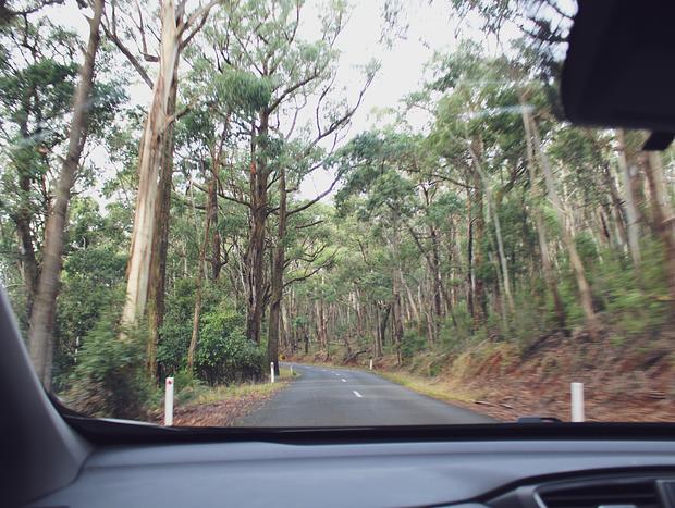 Driving Through Macedon Ranges