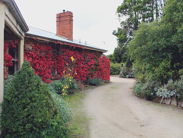 Photo 3 for Bringalbit Open Garden & Historic House