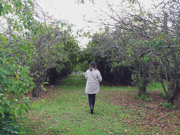 Photo 2 for Bringalbit Open Garden & Historic House