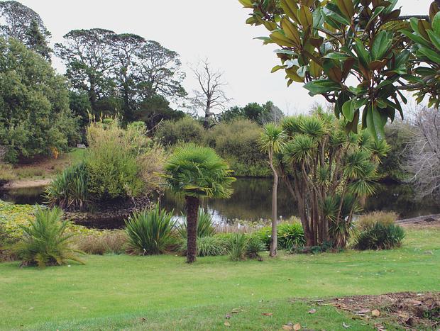 Photo 8 for Bringalbit Open Garden & Historic House