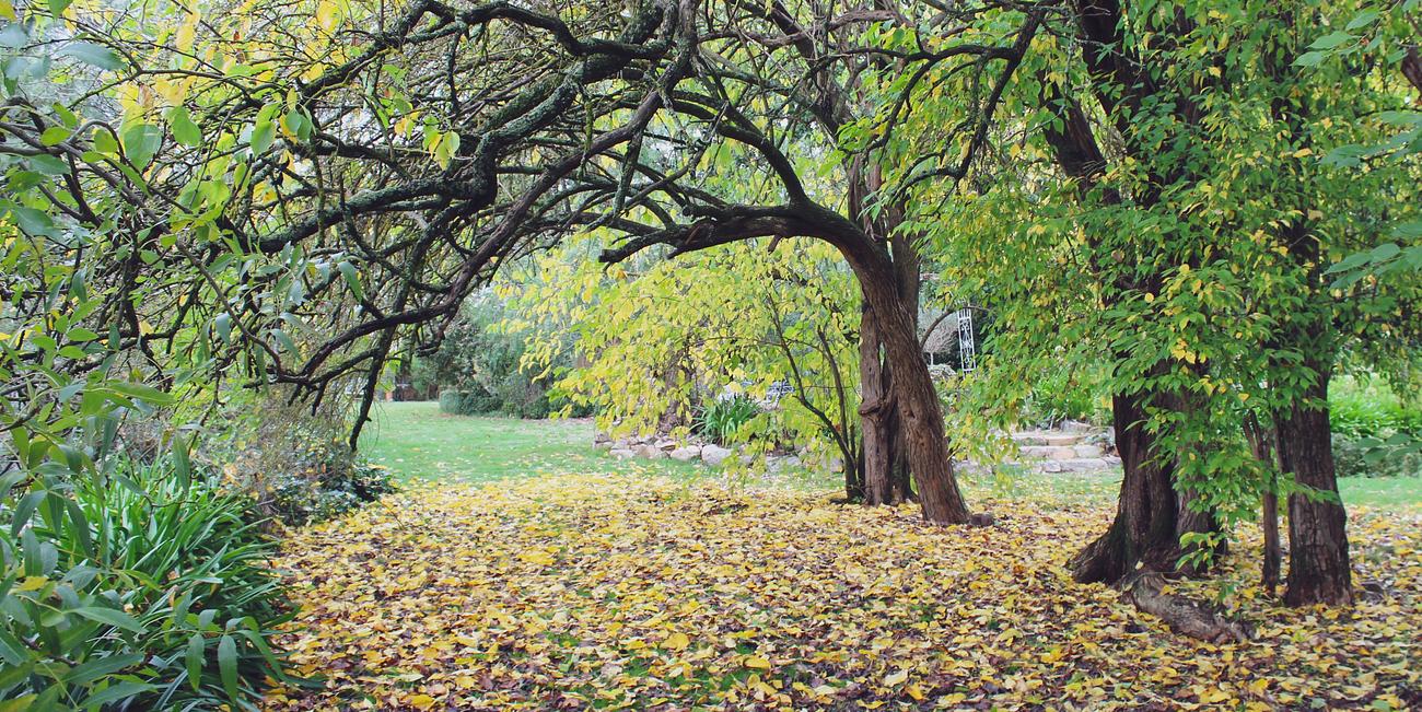 Woolshed Hill House Farm for Rent in Macedon Ranges, VIC, AU Riparide