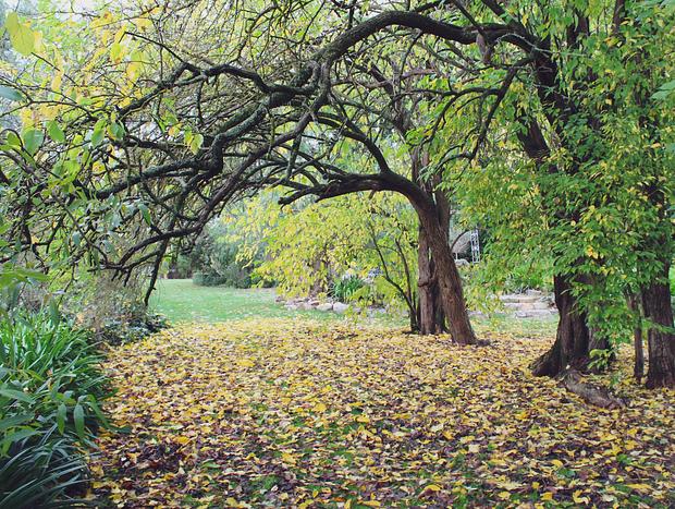Photo 1 for Bringalbit Open Garden & Historic House