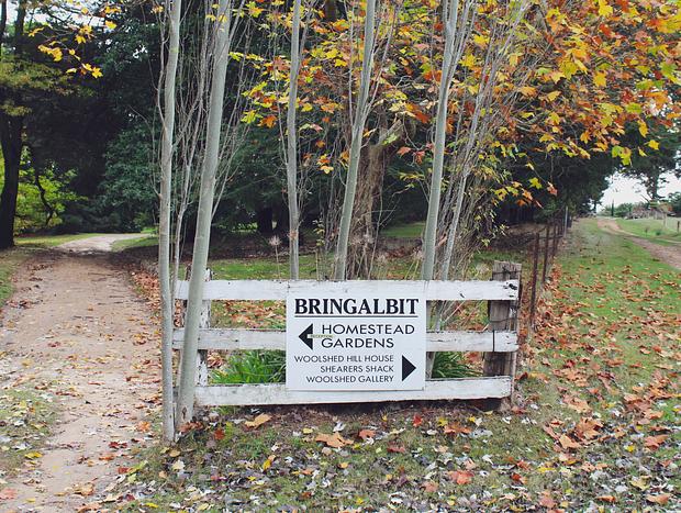 Photo 11 for Bringalbit Open Garden & Historic House