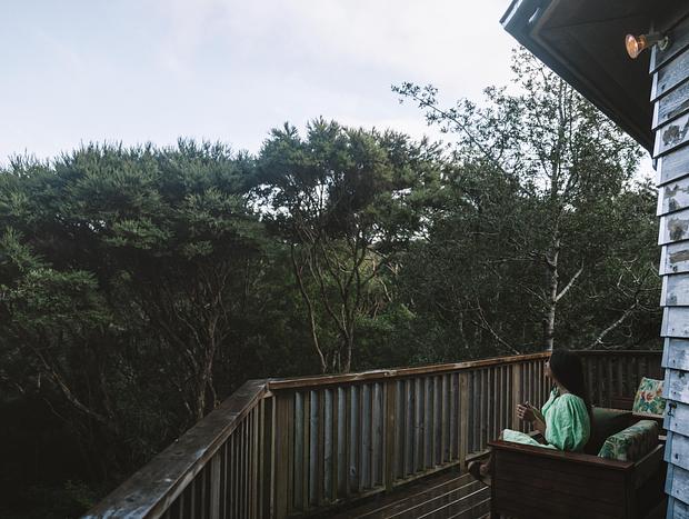 Photo 16 for Waiheke Hidden Gem Tree House