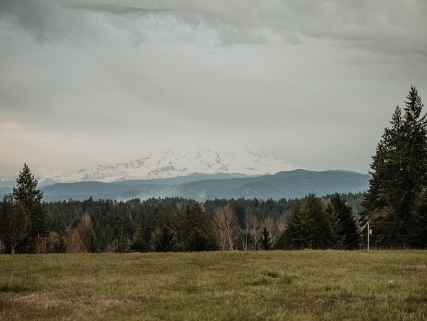 Photo 1 for Mt Rainier Nature Walk