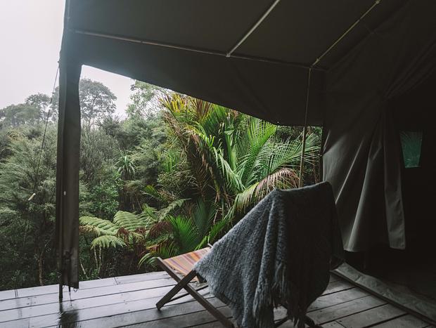 Photo 20 for Waiheke Hidden Gem Tree House