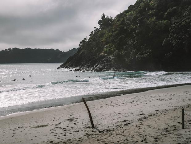 Photo 28 for Waiheke Hidden Gem Tree House
