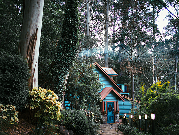 Photo 22 for A Forest Retreat @ Wild Orchid Olinda