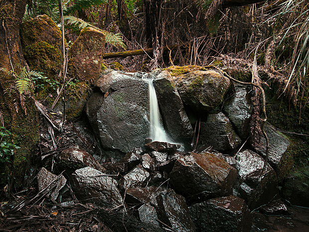 Photo 40 for A Forest Retreat @ Wild Orchid Olinda