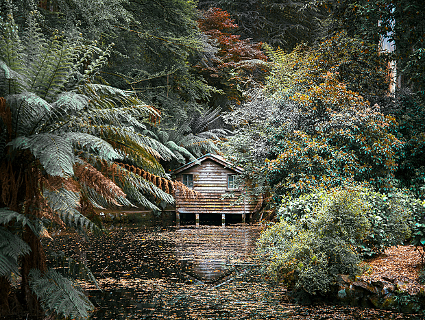 Photo 41 for A Forest Retreat @ Wild Orchid Olinda